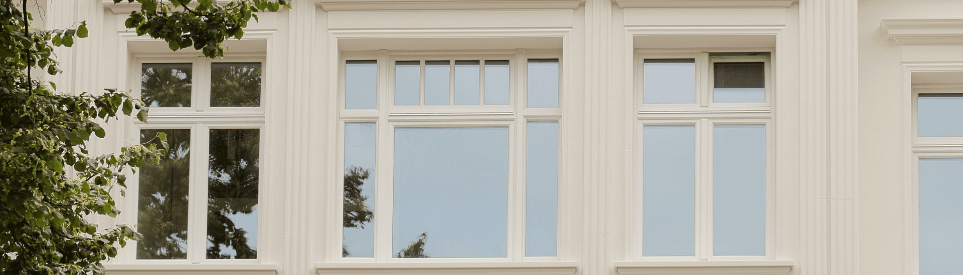 Accoya