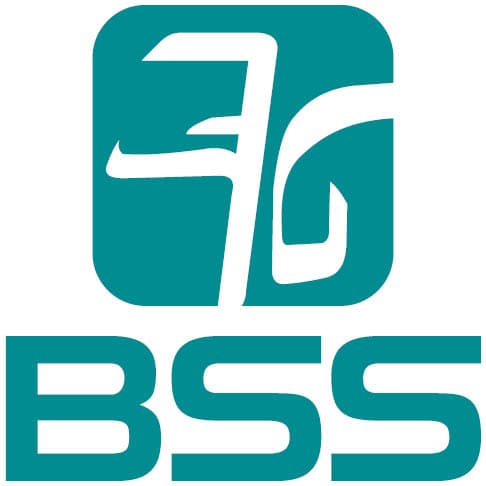 BSS Bau-Systeme-Service GmbH logo