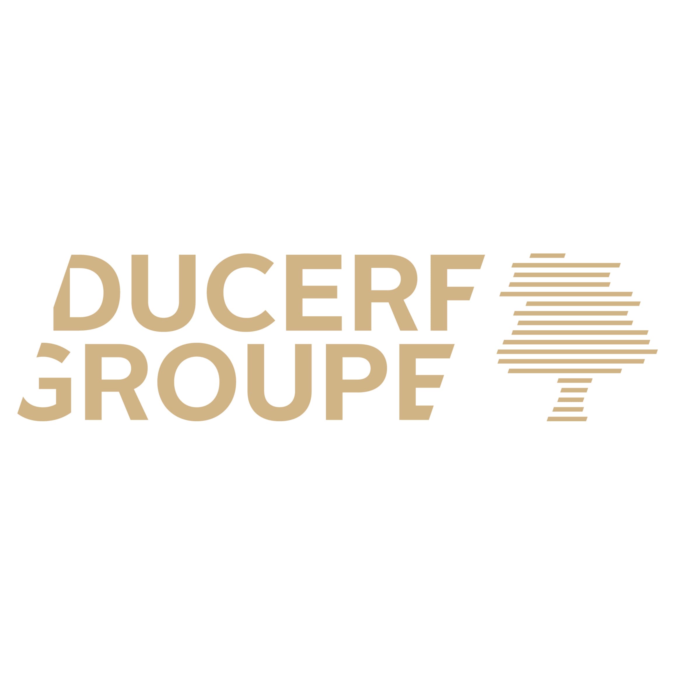 Ducerf Groupe logo