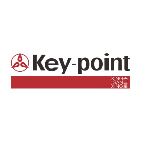 Key-point logo