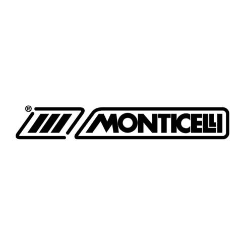 L.M. Monticelli S.p.A. logo