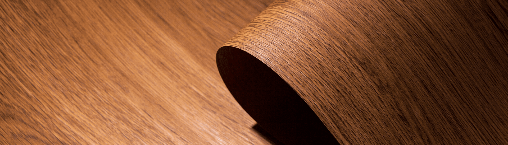 RENOLIT SE/Exterior Solutions