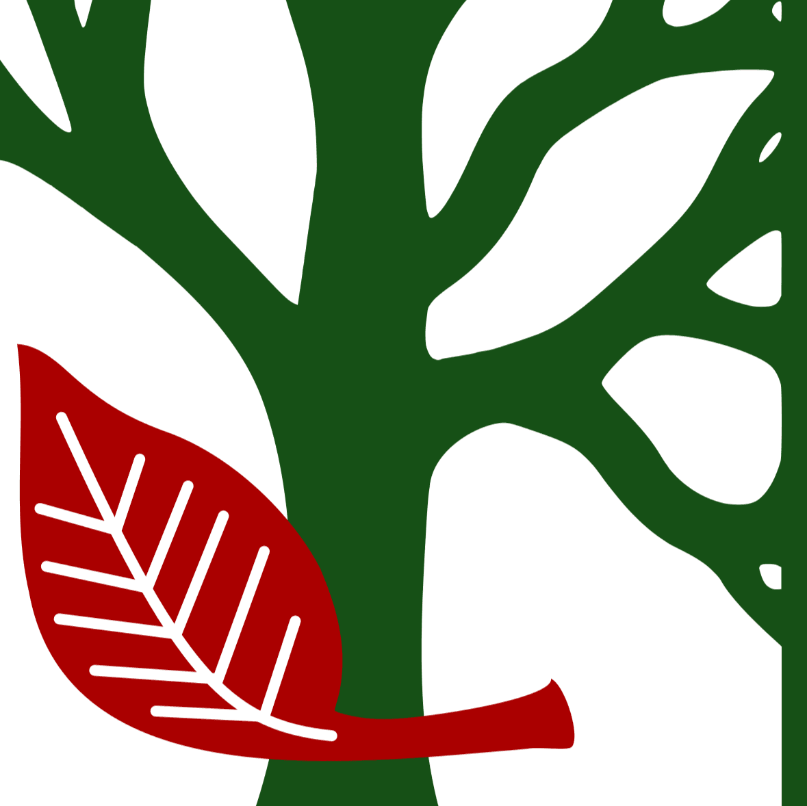 Bingaman and Son Lumber, Inc logo