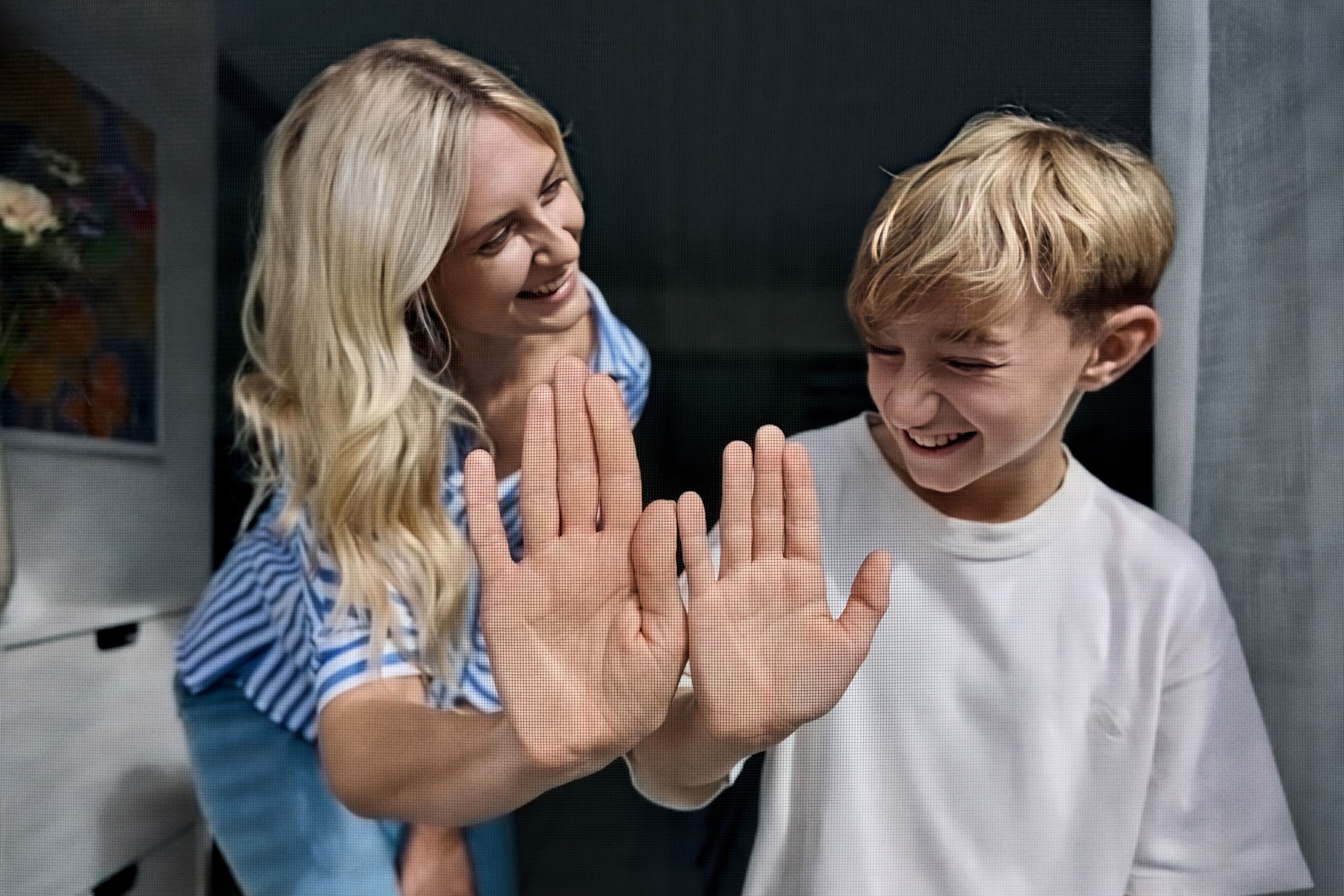 Neher Systeme GmbH & Co. KG Insektenschutz